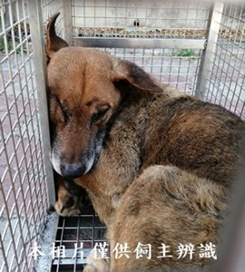 11405180005收A