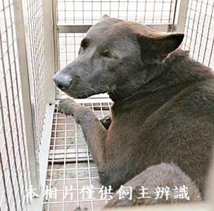 11405180006收B