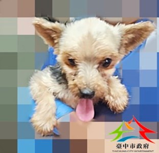 11405280027收10