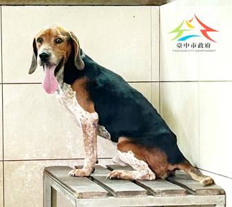 11405130005開B41