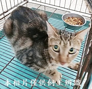 11406200011收55