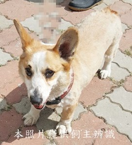 11406210006收-E