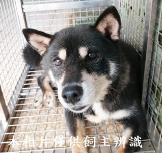11406230001收p