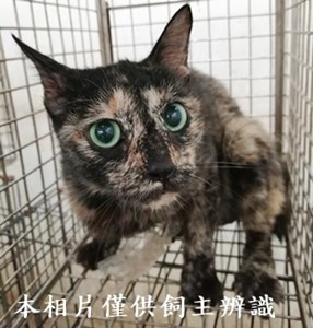 11406230003收38