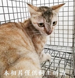 11406230004收61