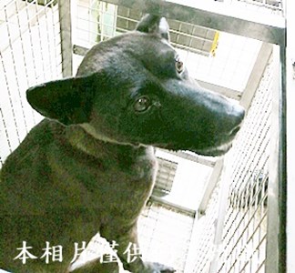 11406230005收圓5