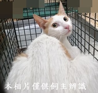 11406230007收12