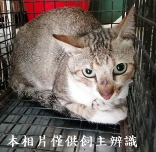 11406240007收21
