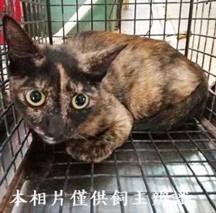 11406240008收56