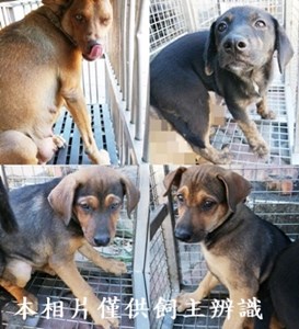 11406280007-10收