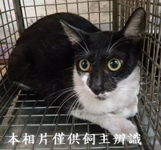 11406280012收2