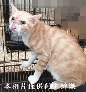 11406280013收24