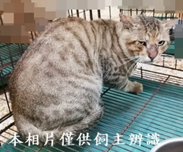 11406280014收61
