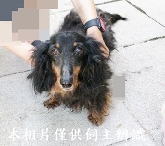 11406280016收棄