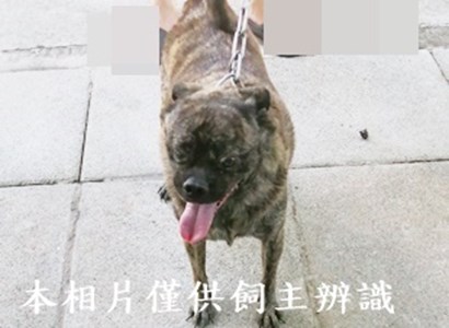 11406280017收拾獲