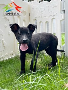 11406070014-永信 (2)