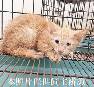 11407010016收-11