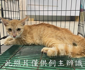 11407026001 陳1