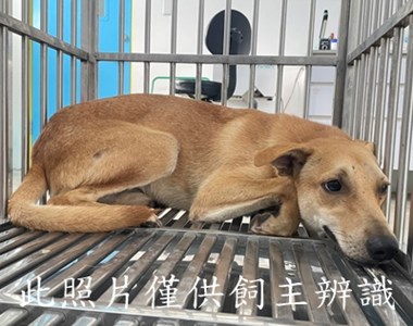 11407026002陳2
