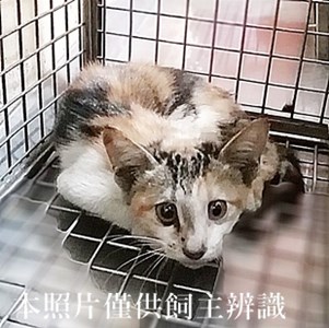 11407030005收6