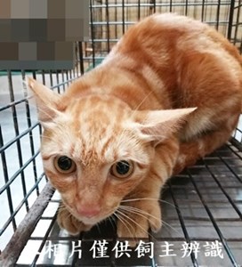 11407030008收2