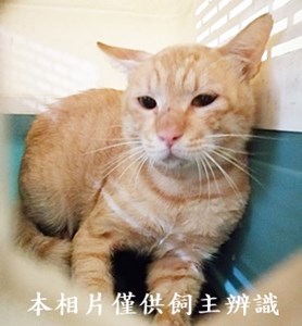 11407040008收20