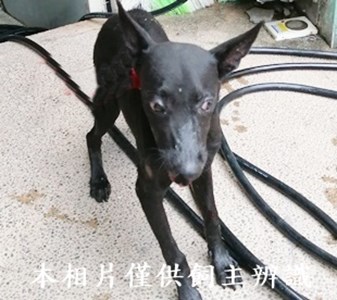 11407040014收7