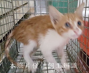 11407060001收-68