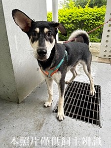 11407090016收-拾