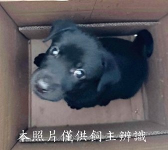 11407090017收-拾