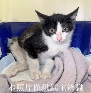 11407100007拾獲