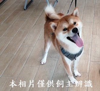 11407120006收拾獲