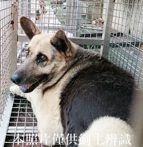 11407140004收C