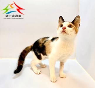11404078012-全邑