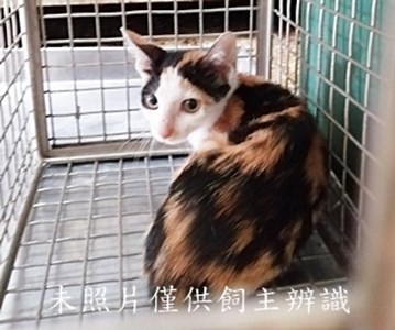 11408050013收3