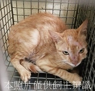 11408050020收54