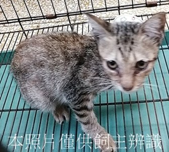 11408050023收71