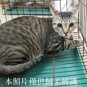 11408060010收80