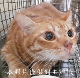 11408170001收-58