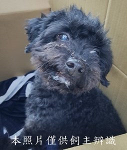 11408170005收-拾
