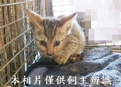 11408180001收36