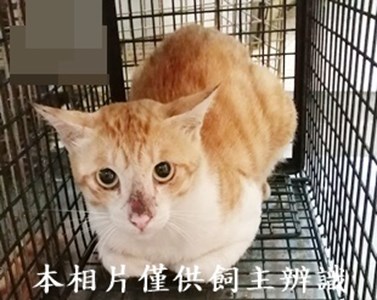 11408190002收71