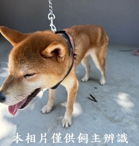 11408190004收