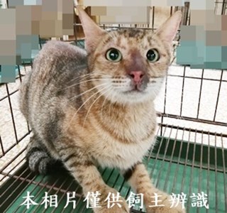 11408190008收63