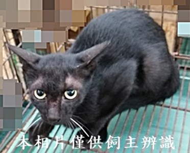 11408190009收73