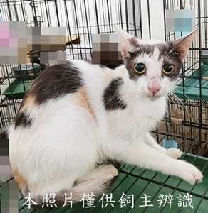 11408190010收26