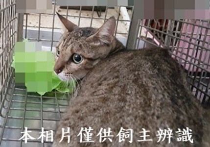 11408200001收-36