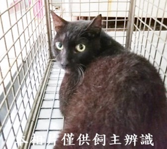 11408200008收80