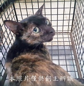 11408220010收-20