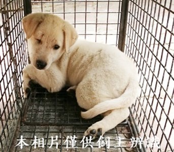 11408230005收B幼26公